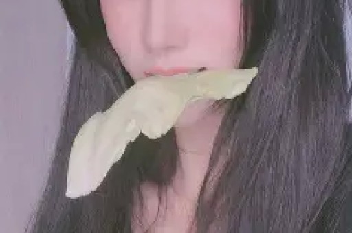 网红丹丹再翻车!印度火车没座位被她夸成一家团圆神设计！